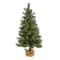 3ft. Pre-Lit Fraser Fir Natural Look Artificial Christmas Tree with Clear LED Light